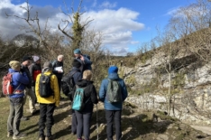 Philosophy Walks