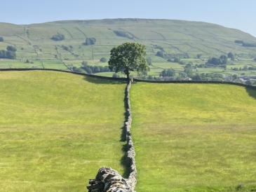 Yorkshire Dales Walking Weekend