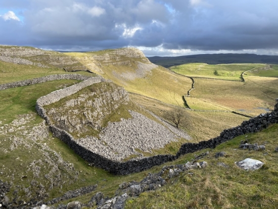 Nature of the Yorkshire Dales